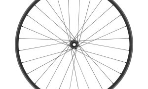 Kotač I 29" Dt-Swiss XR1700 15/110mm