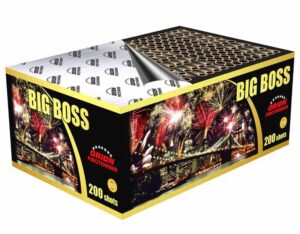 Orion Big boss