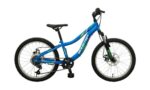 POLAR BOOSTER PLASMA 200 FS DISC blue