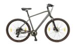 POLAR FORESTER COMP grey