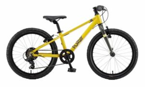 POLAR FUZZY 20 yellow-grey 26